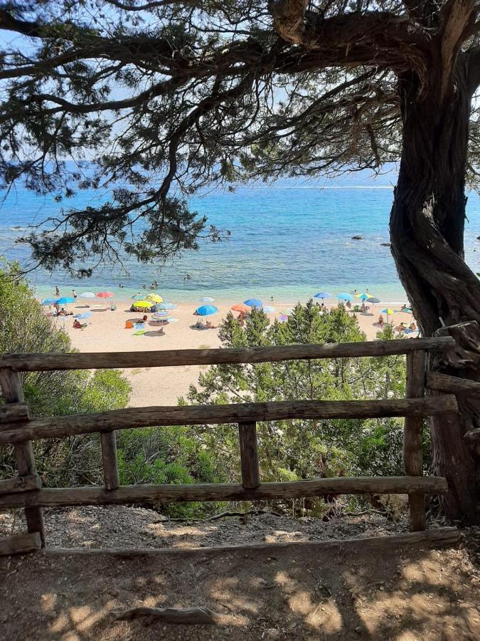 Appartamento Millelire Cala Gonone Bagian luar foto